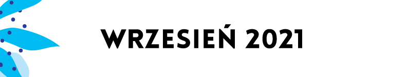 belki kalendarium mdk2
