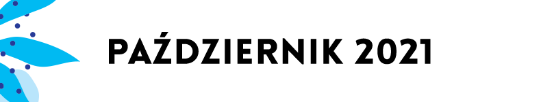 belki kalendarium mdk22