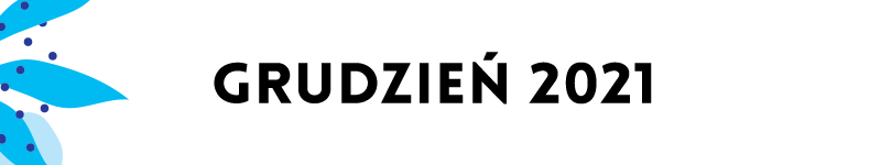 belki kalendarium mdk24