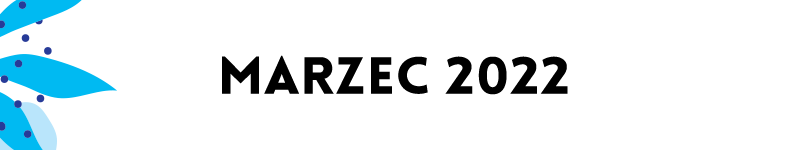 belki kalendarium mdk27