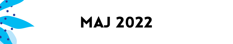 belki kalendarium mdk29