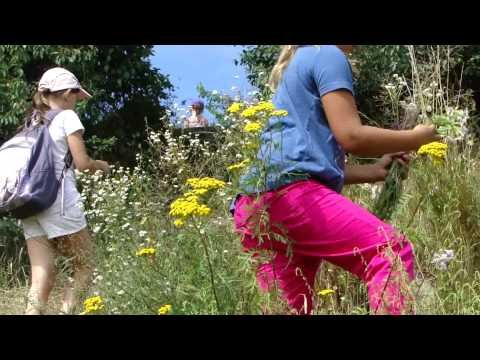 Akcja Lato 2014 - turnus III - film 2 - łąka i Warta