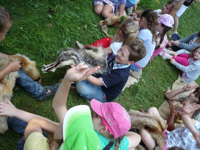 Półkolonie 5.07.2012